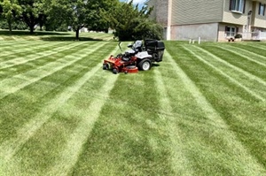 What are the Advantages of Regular Lawn Dethatching for Maintaining a Healthy Yard?