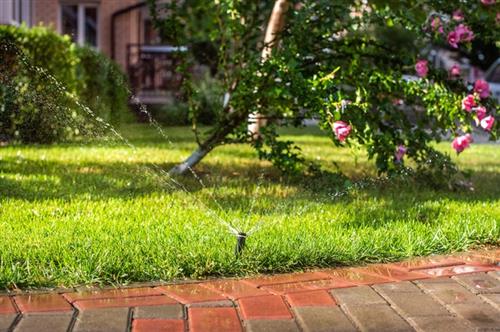 How can homeowners reduce water usage without sacrificing lawn health?